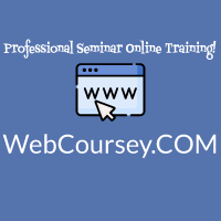 Professional Website Design & Development Seminar Online Training!